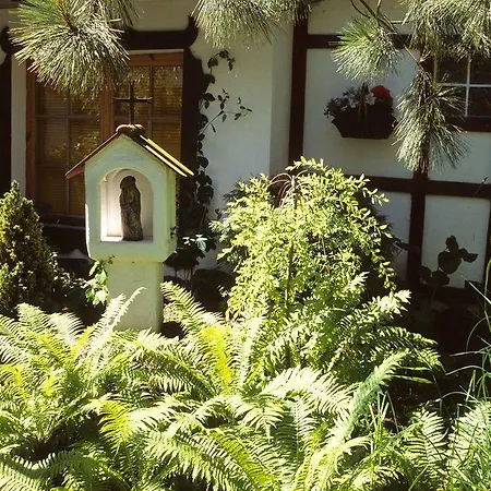 Homestay U Rybaka *